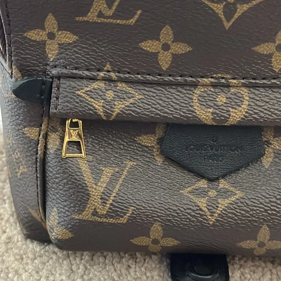 AUTHENTIC Louis Vuitton Palm Springs Mini - Picture 11 of 15